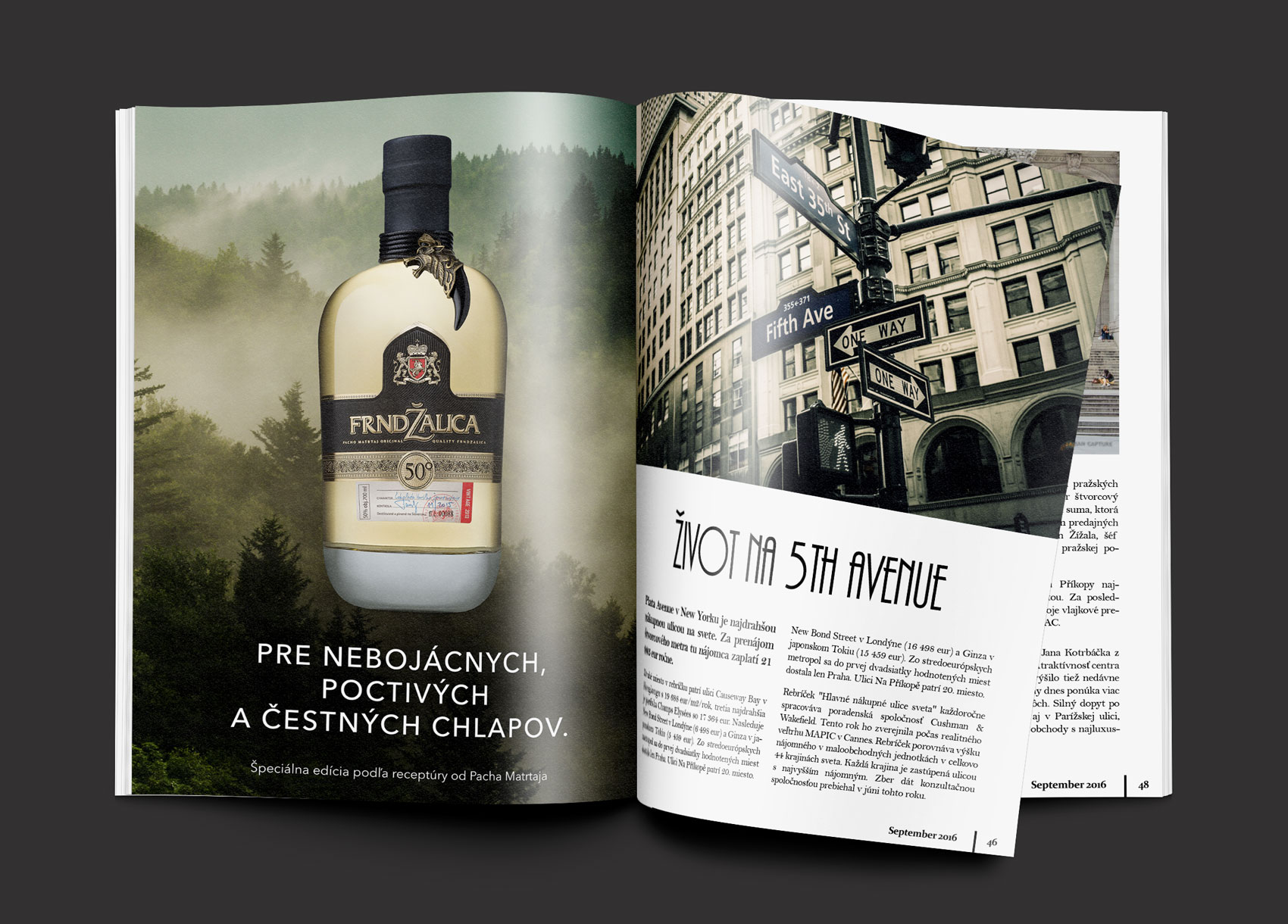 Reklamná grafika pre značku Frndžalica v časopise | BOLD